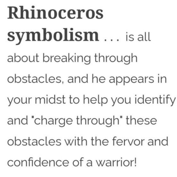 Sterling Silver Rhino Charm Ring 925 Vintage Tribal Size 5 Petite - Picture 9 of 10